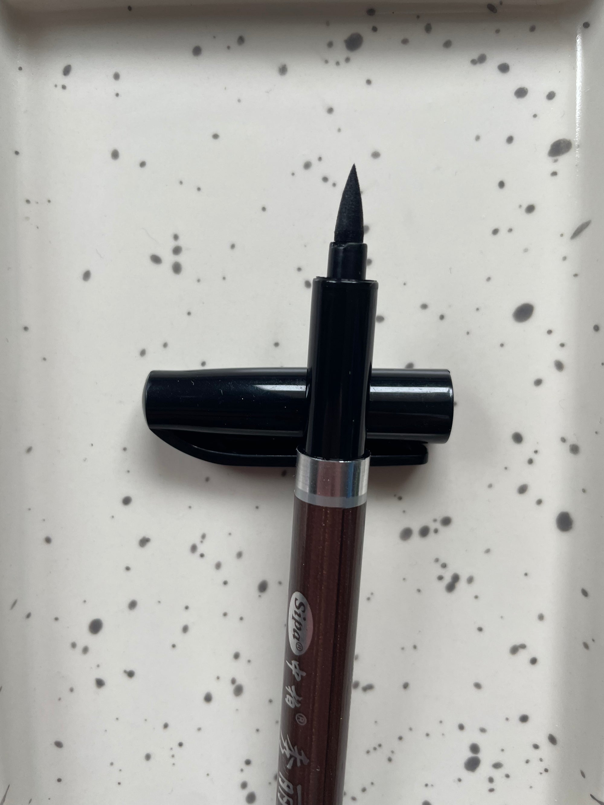 Brush Writing Pen